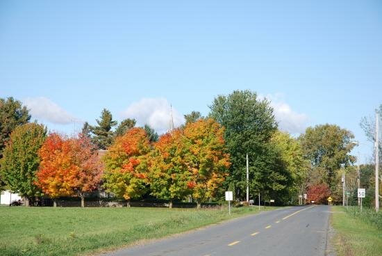 photos de nos clients