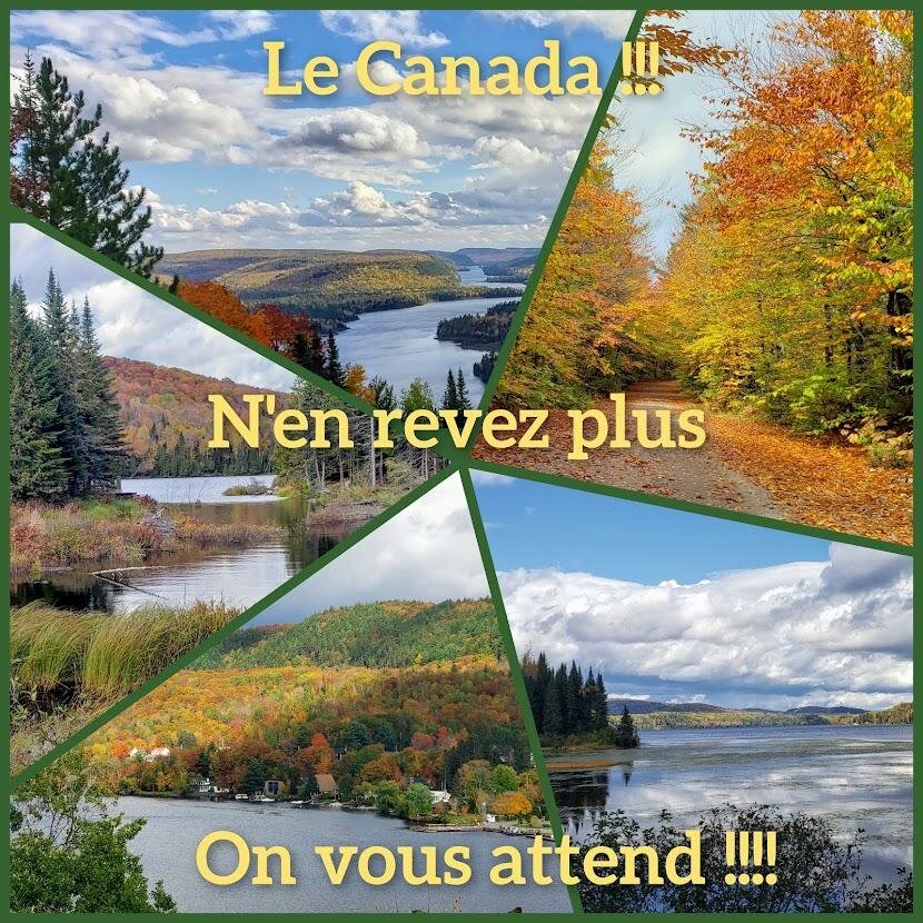 Collagemaker 20210403 65121456